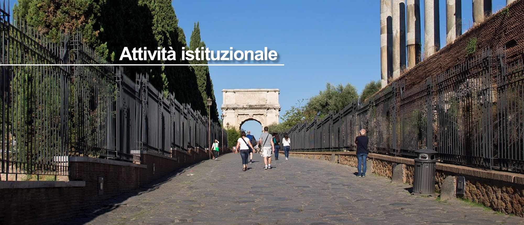 Attivit&agrave; istituzionale