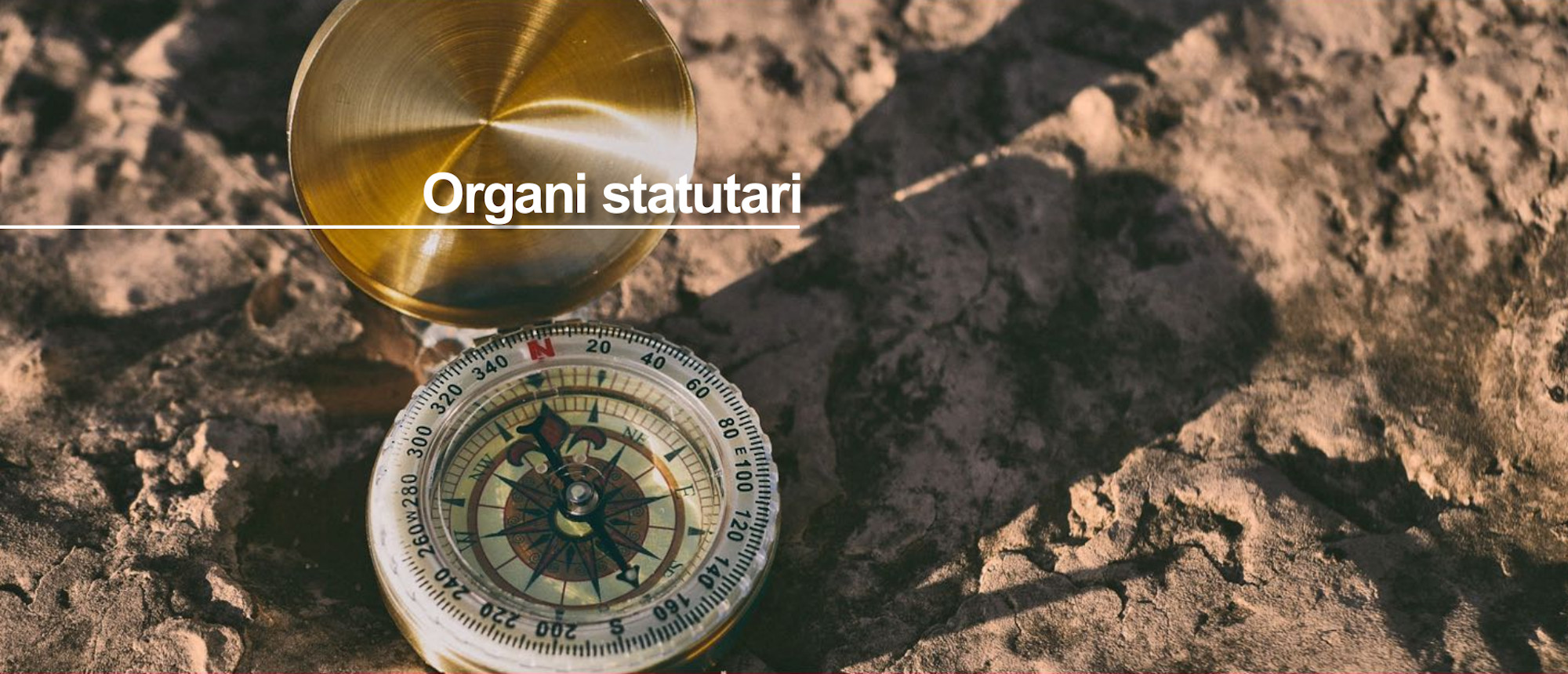 Organi Statutar