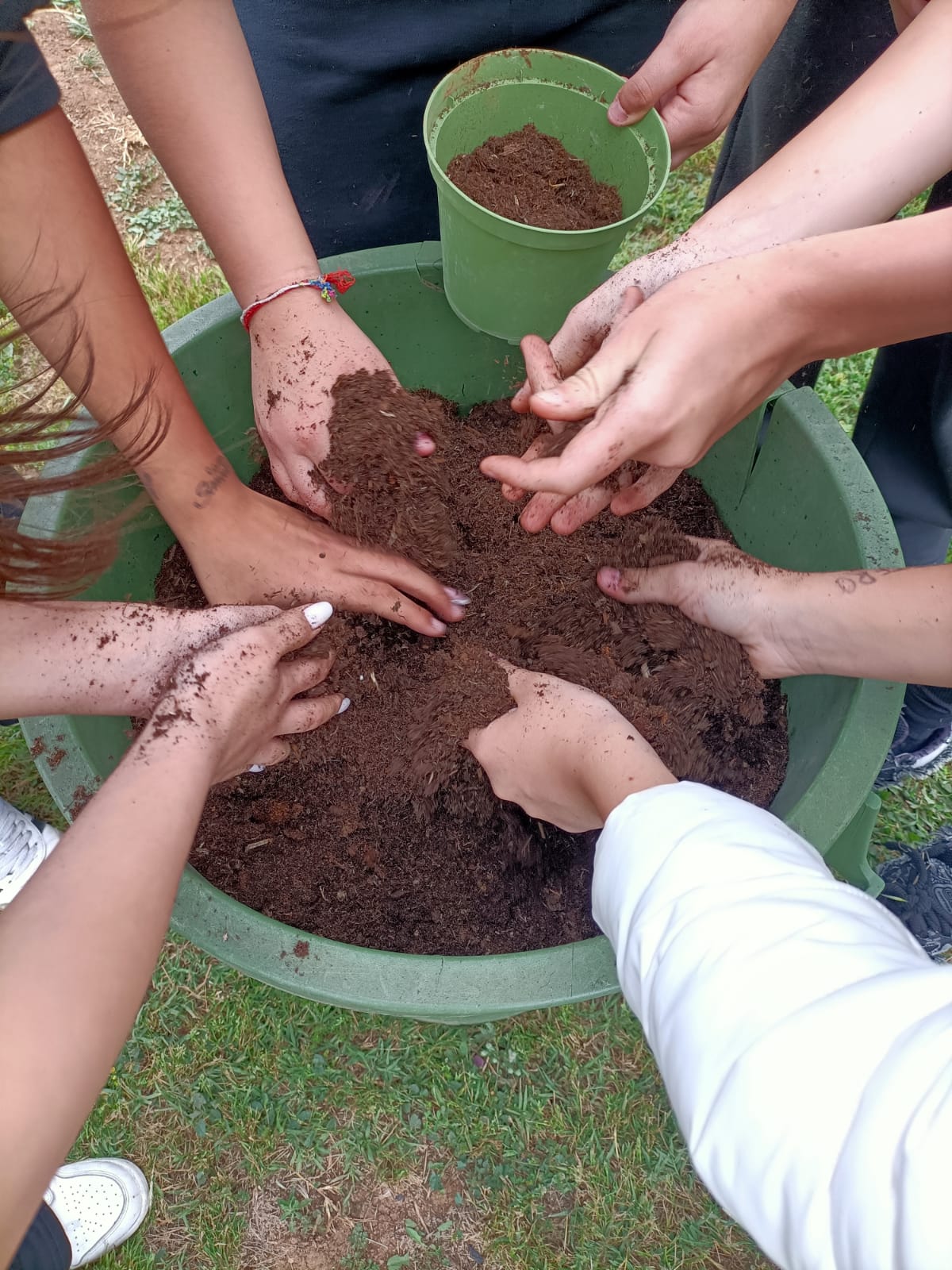 L'Ossigeno dell'Inclusione: Rigenerazione Sociale e Ambientale